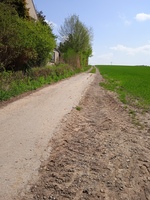 Radweg Donop Richtung Grossenmarpe